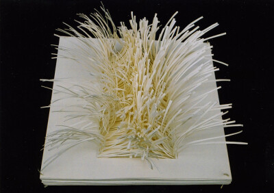 Paper manipulation 1 - 2002 Abstract paper sculpture