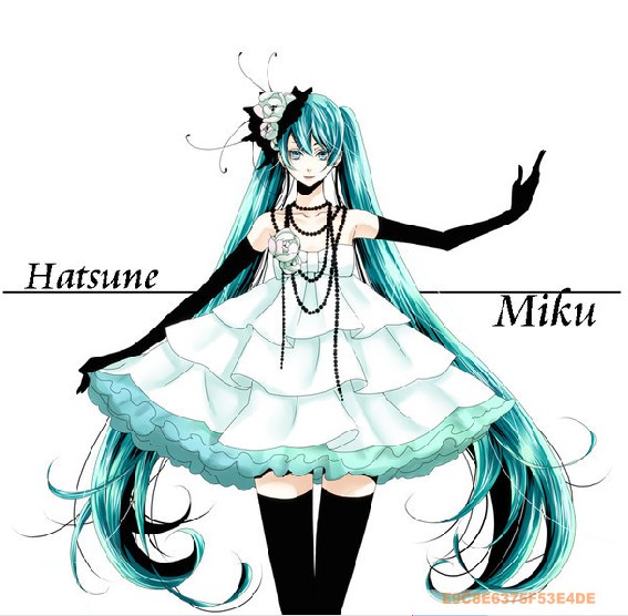 山茶花miku