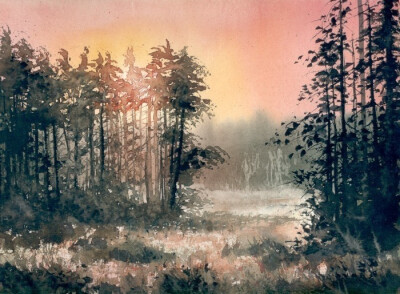 【水彩】手绘森林的一角