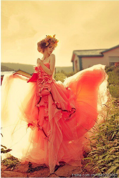 橘粉色婚纱