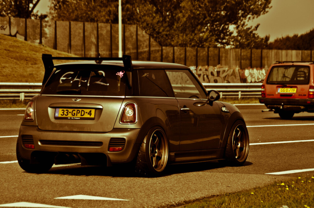 Ducks_Mini on SSR Wheel