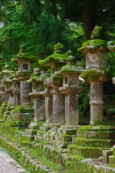 日本 奈良Kasuga Taisha神社的石灯笼