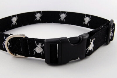 Dog Collar, Beetles, Black and White