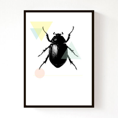 NEW - Beetle Geo - A4 Print