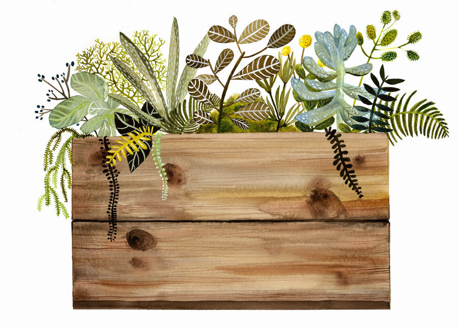 http://www.etsy.com/listing/94962545/watercolor-painting-print-crate-and?ref=usr_faveitems