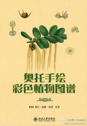 《奥托手绘彩色植物图谱》内容简介：Otto Wilhelm Thomé的手绘植物图谱形态色彩逼真，绘图精美，具有极高的艺术欣赏和收藏价值，同时图谱详尽地展示了包括解剖结构在内的植物各部分的形态特征。这些特征的展示是普通艺术绘画和彩色摄影甚至真实的植物标本都不可能做到的。因而这些图谱在植物教学和植物分类科研中都具有重要的价值。 《奥托手绘彩色植物图谱》不仅是植物学专业师生、中小学植物课师生的重要参考书。也是许多植物摄影爱好到真正植物爱好者的转变过程中，了解更多植物知识的重要指导书。