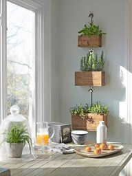 indoor herb garden.