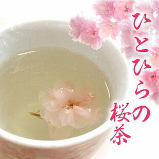 春季限定 SAKURA 日本玉露园樱花茶