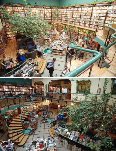 绿树掩映的丛林书店。厄尔普多咖啡书店，墨西哥城，墨西哥。 绿树掩映的丛林书店。厄尔普多咖啡书店，墨西哥城，墨西哥。