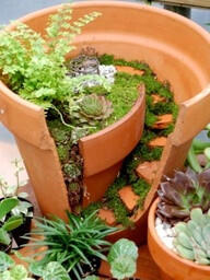 Mini_garden_broken_pot