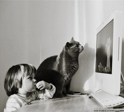 Andy Prokh黑白摄影之小女孩与猫-胖鱼鱼