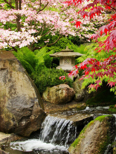 Anderson Japanese Gardens in Rockford, Illinois, USA (by Mandy Ringe).