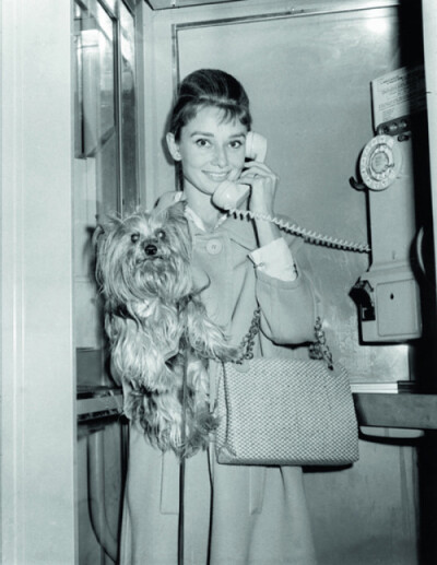 Audrey Hepburn，代表作《罗马假日》、《蒂凡尼的早餐》与她的宠物狗Mr. Famous.