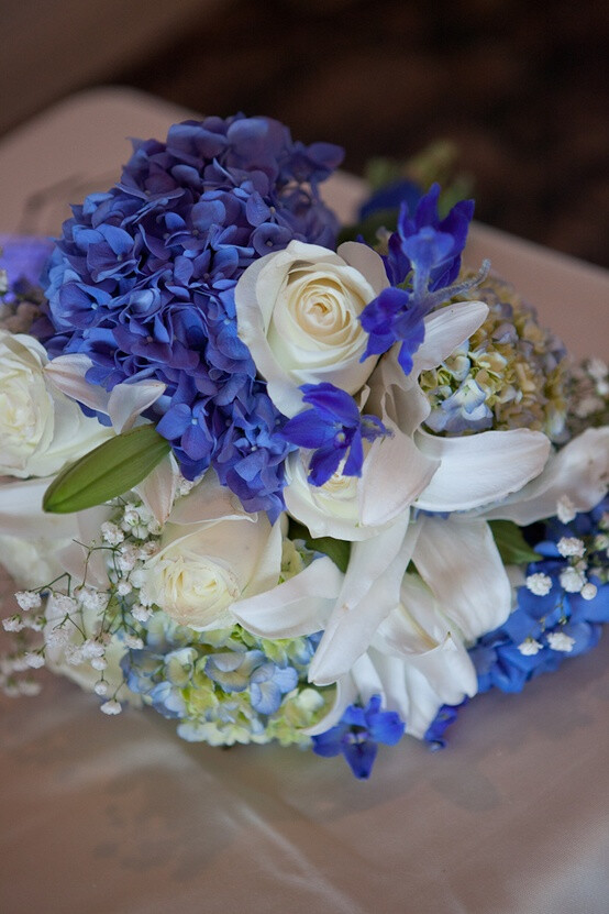 Blue and white flowers