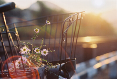 生活的决定权一直都在自己手上。