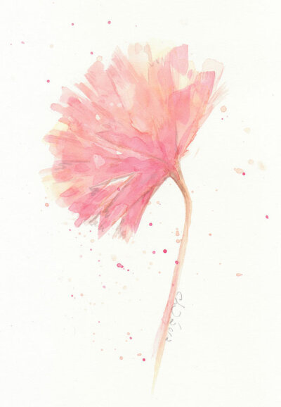 Flower, flower painting, Watercolor Pink Carnation---- original abstract watercolor painting