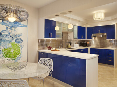 contemporary kitchen by Arnold Schulman Design Group
