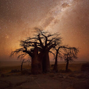 守护。（from Hougaard Malan）