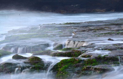 傍沿钜野泽，大水纵横流。虫蛇拥独树，麋鹿奔行舟