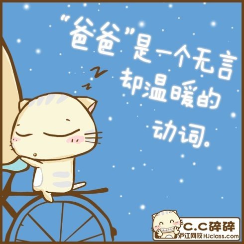 沪江网校猫CC的碎碎念