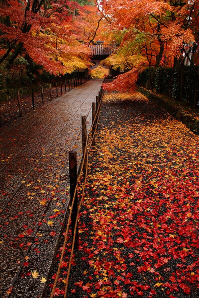 Komyo-ji temple, Kyoto, Japan