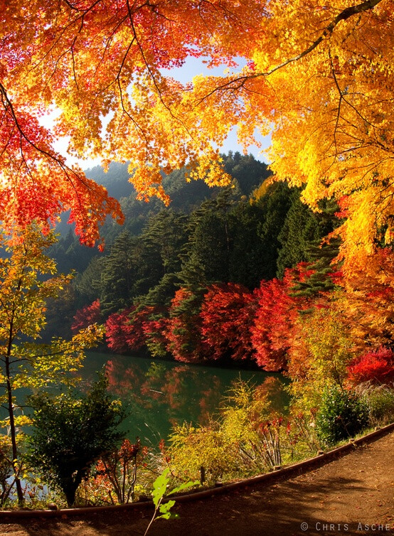 Inagakko Lake in Fall #Yamanashi #Japan