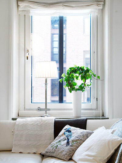 白色 角落图片来自王小橘在73平米北欧古典白色公寓的分享