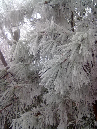 张家界森林公园雪景