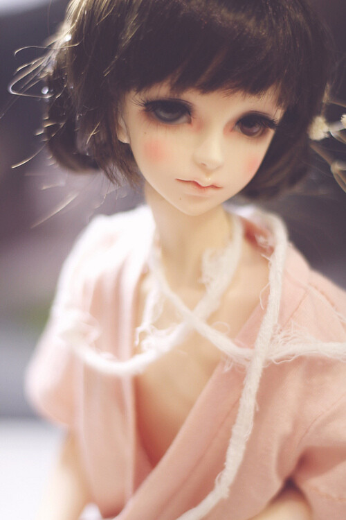 LUXURY~Super Doll、sd、Super-Doll、SD娃娃