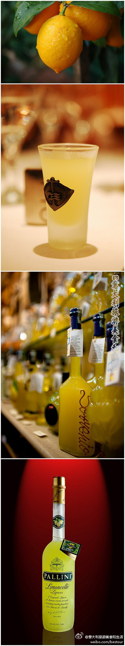 【LIMONCELLO】 意大利柠檬酒，发源于意大利中南部那不勒斯周边的SORRENTO, AMALFI 和CAPRI等小镇，因为这里从中世纪起就开始种植世界上最好的柠檬，个大，皮厚，汁多。但Limoncello酒的原料却是柠檬的皮，而且只是最外层的 黄皮，它含有丰富的香气，是制作众多香料，精油的原材料。