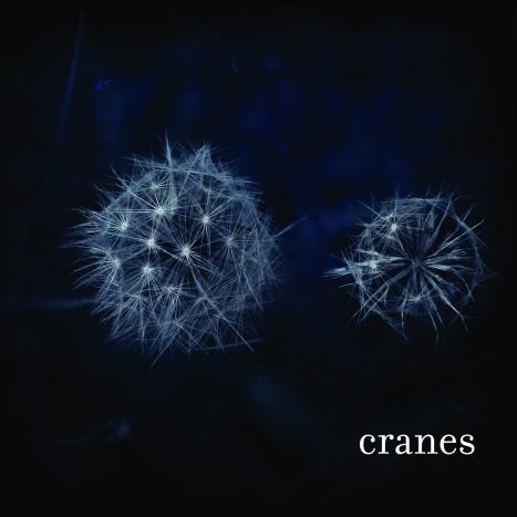 cranes----cranes