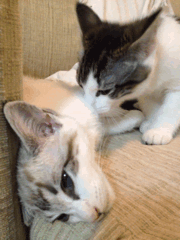 一旦心死了，再怎么安慰也没用了。。