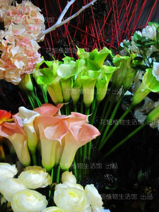 Willa家.外贸原单高仿花 - 【特大】粉色手感马蹄莲（浪漫粉)