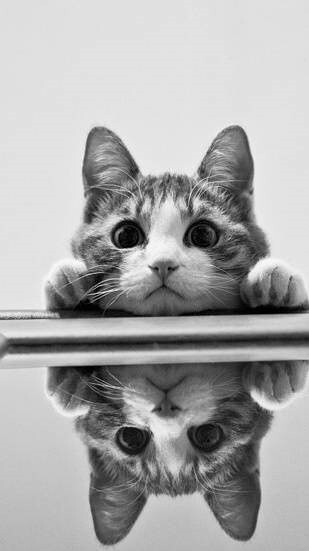 有时候，遗忘，是最好的解脱；有时候，沉默，却是最好的诉说。