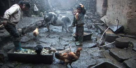 三姊妹 The masterful new documentary from Wang Bing (West of the Tracks) is an intimate, observational portrait of a peasant family who eke out a humble existence in a small village set against the stunning mountain landscapes of China's Yunnan province.