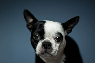 Beautiful Baby Named "Shiner".