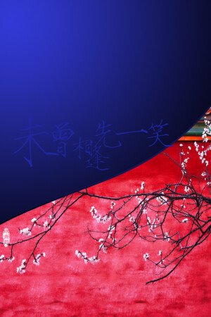 未曾相逢先一笑——【放下自在】系列- の。小青莞&IPHONE壁纸-壁纸、iPhone、iphone壁纸、文字、中国风