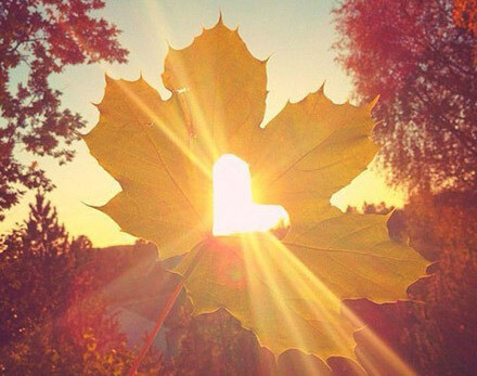 图片、lomo、意境、唯美 来自【一米阳光的感觉】不定期更新，喜欢请关注！新浪微博同名哦~