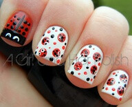 lil lady bugs