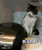 一个神秘的电饭煲致使兄弟之间产生了裂痕