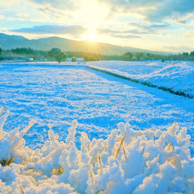 裾野的雪景～