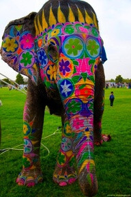 Painted elephant