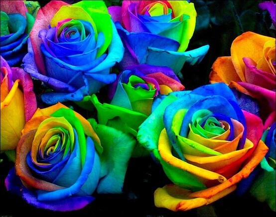 Another science fair idea: Make rainbow roses by splitting the stems into strands and placing each one in food coloring. The roses draw the food coloring into the petals.