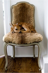 Faux for a chair??? Creative! Then you just go get a fawn and voila! Completed look! :D