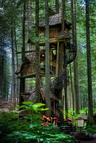 Three Story Tree House, British Columbia, Canada