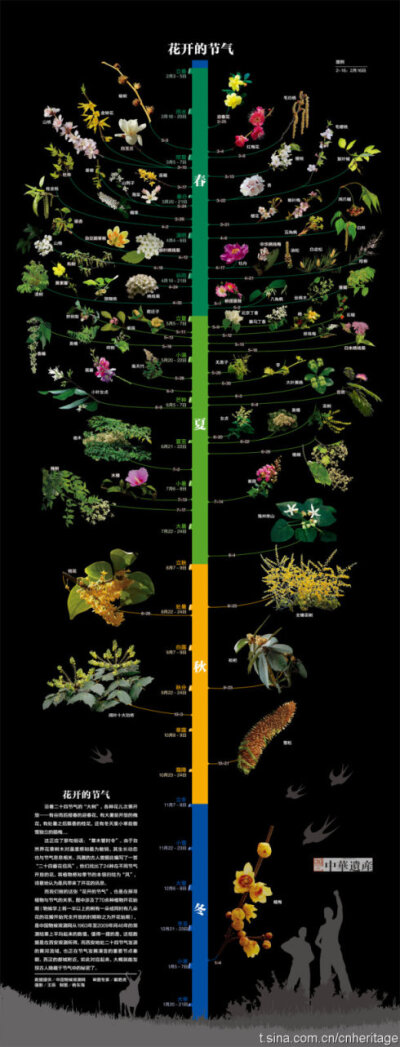 古代花期