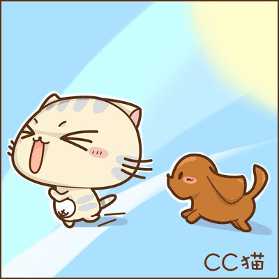cc猫