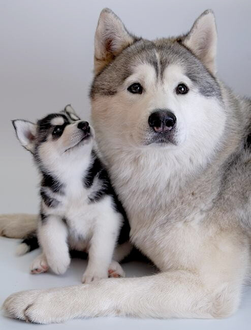 mother and daughter