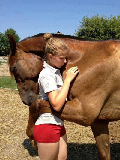 I want to be hugged by a horse