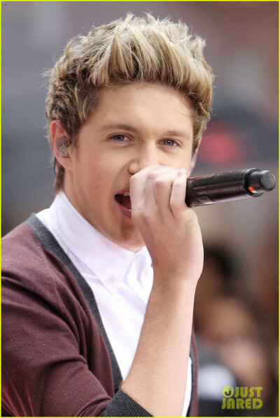 One Direction Niall Horan 昵称：奶儿、萌奶、Nialler